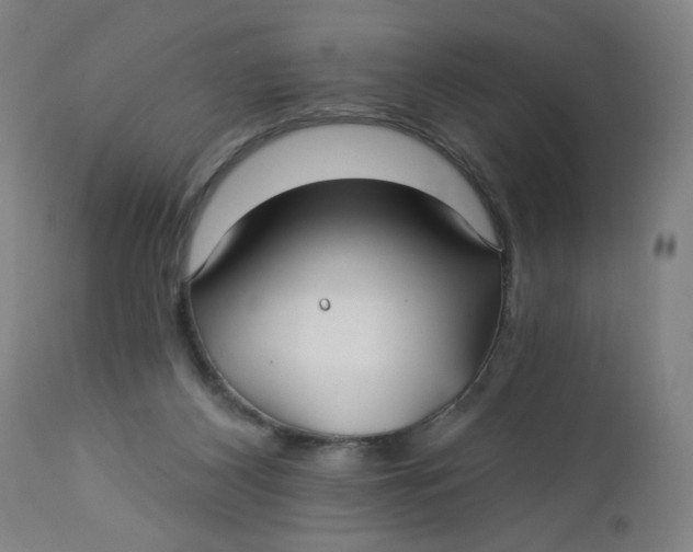 X0000112460116200909071119