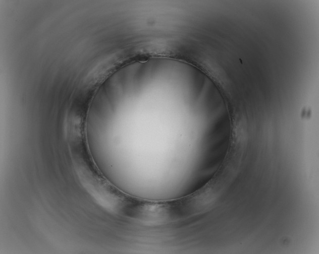 X0000112460117200909071119