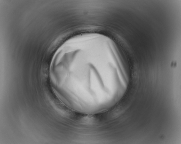 X0000112460119200909071119