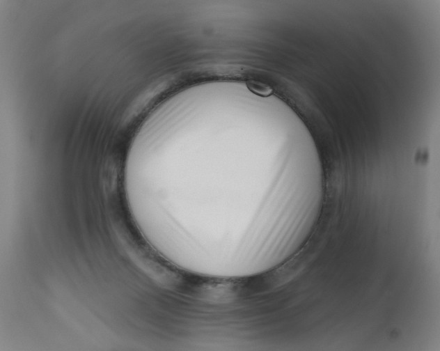 X0000112460120200909071119
