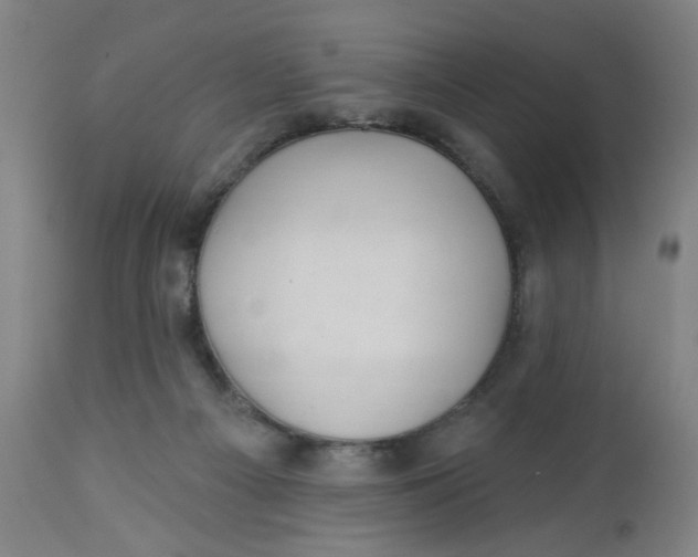 X0000112460121200909071119