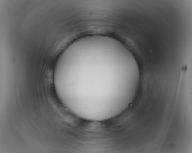 X0000112460123200909071119
