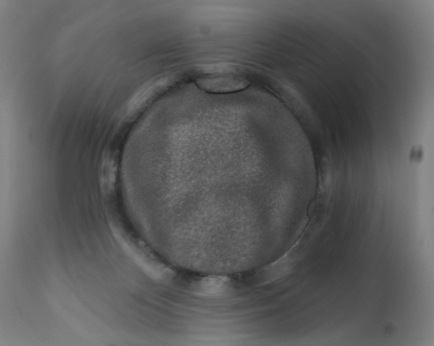 X0000112460124200909071119
