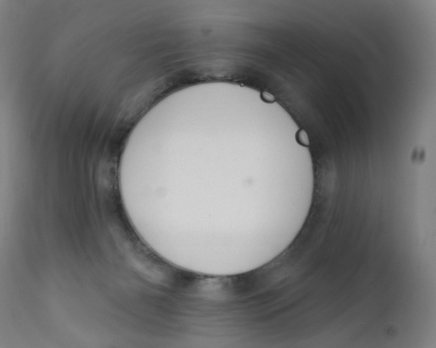 X0000112460126200909071119