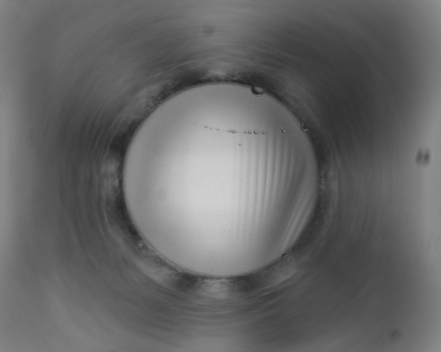 X0000112460127200909071119