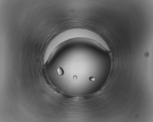 X0000112460128200909071119