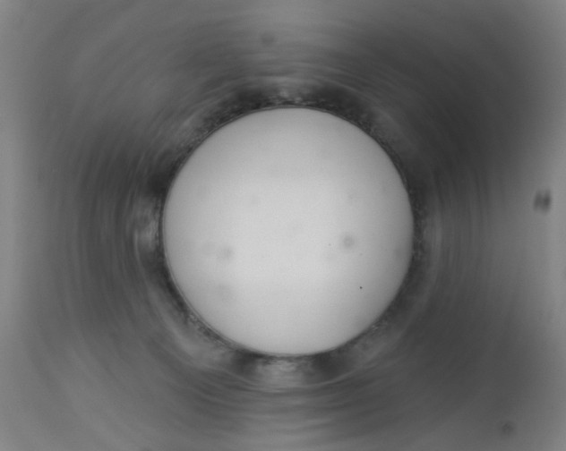 X0000112460129200909071119