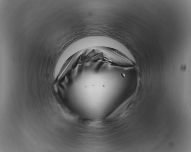 X0000112460132200909071119