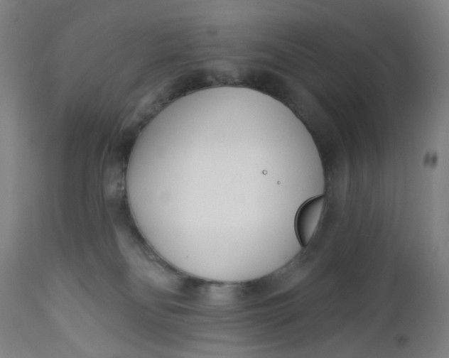X0000112460134200909071119
