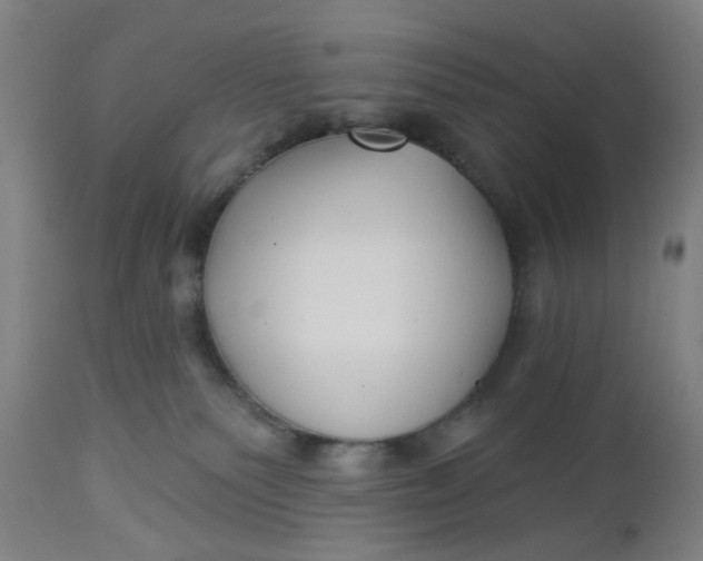 X0000112460135200909071119