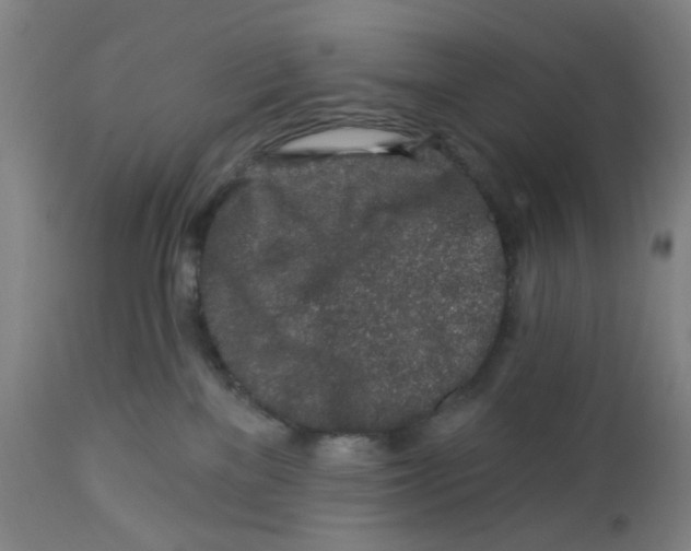 X0000112460137200909071119
