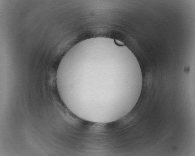 X0000112460138200909071119