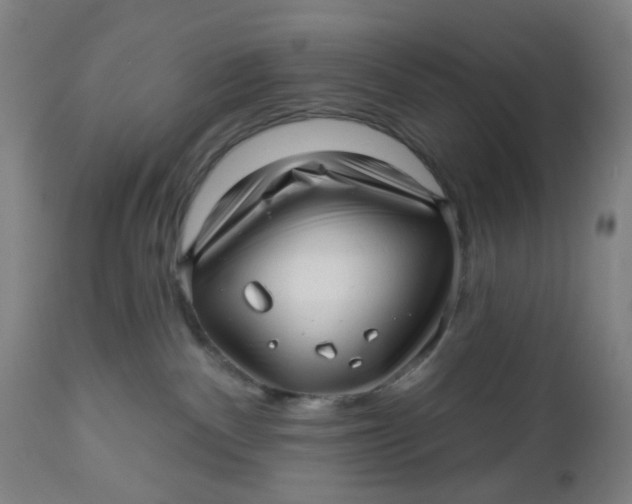 X0000112460140200909071119