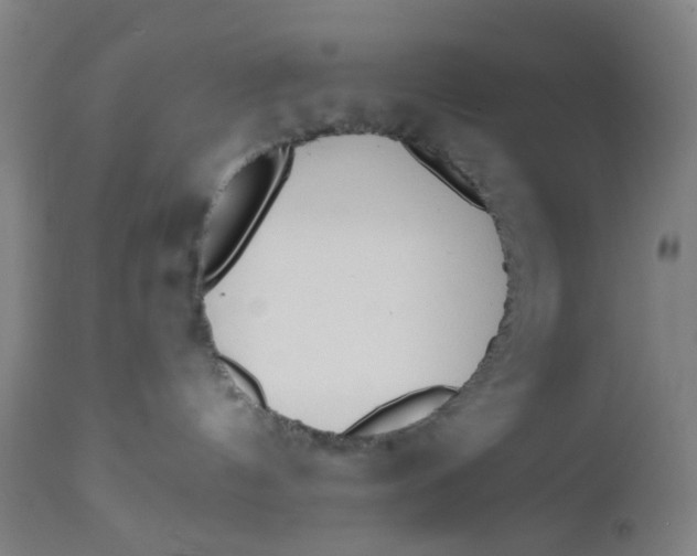 X0000112460144200909071118