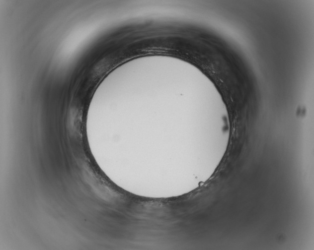X0000112460146200909071118