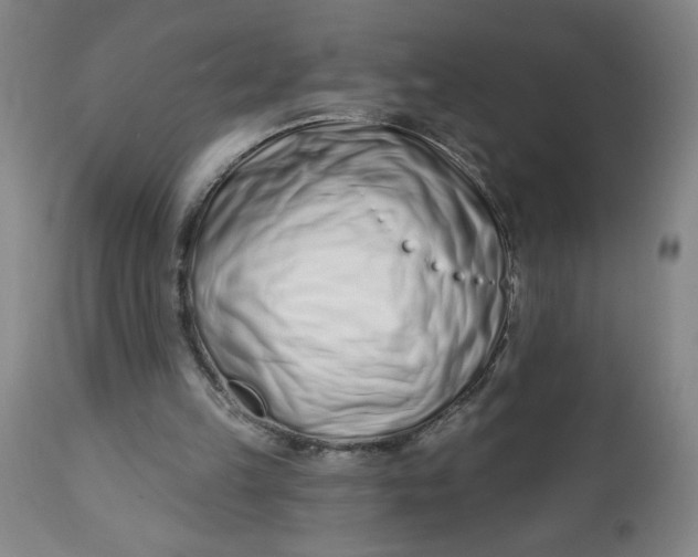 X0000112460149200909071118