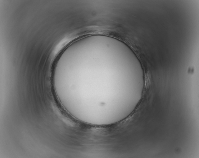 X0000112460150200909071118