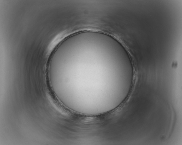 X0000112460151200909071118