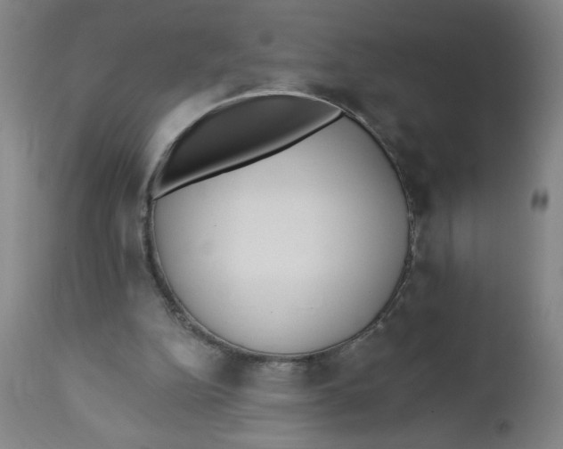 X0000112460152200909071118