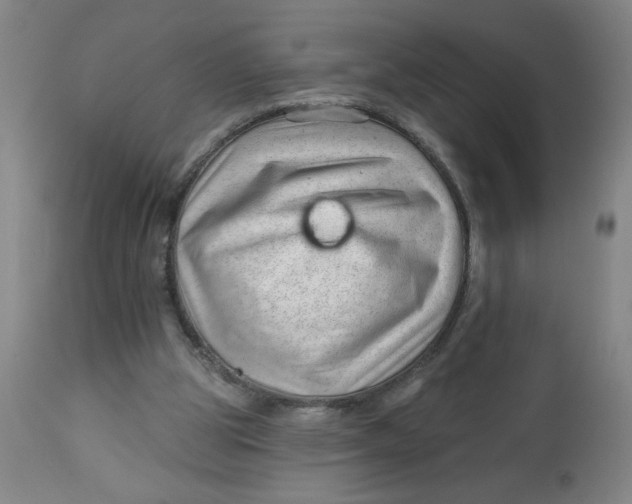 X0000112460153200909071118