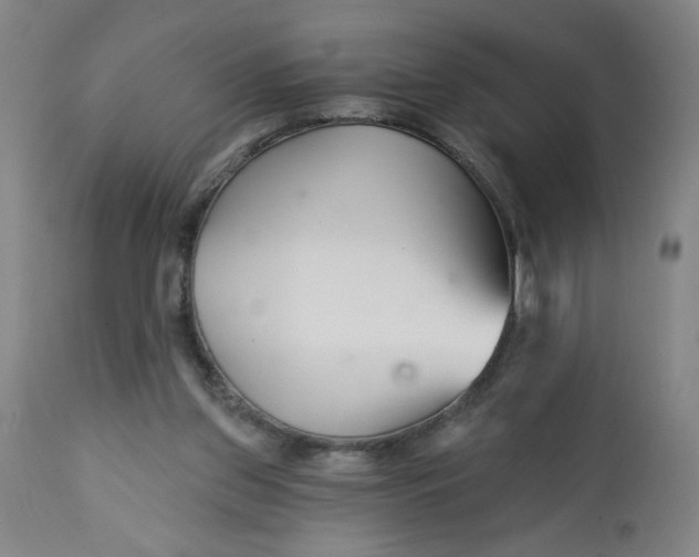 X0000112460157200909071118
