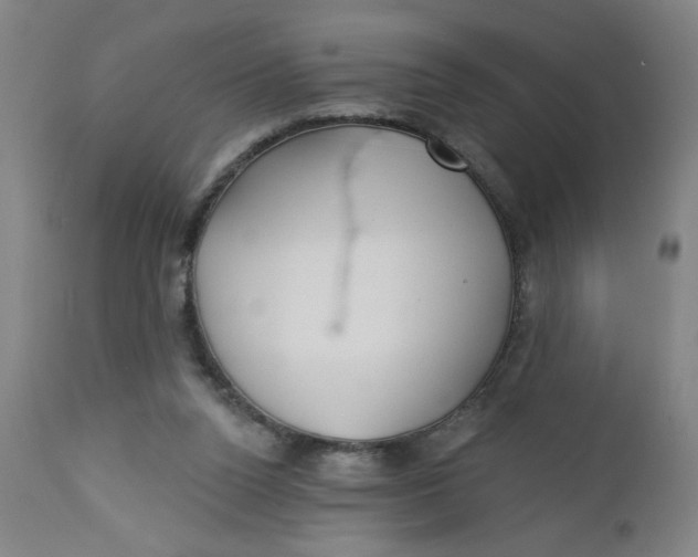 X0000112460160200909071118