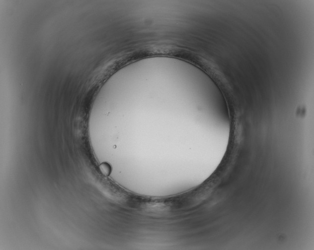 X0000112460161200909071118