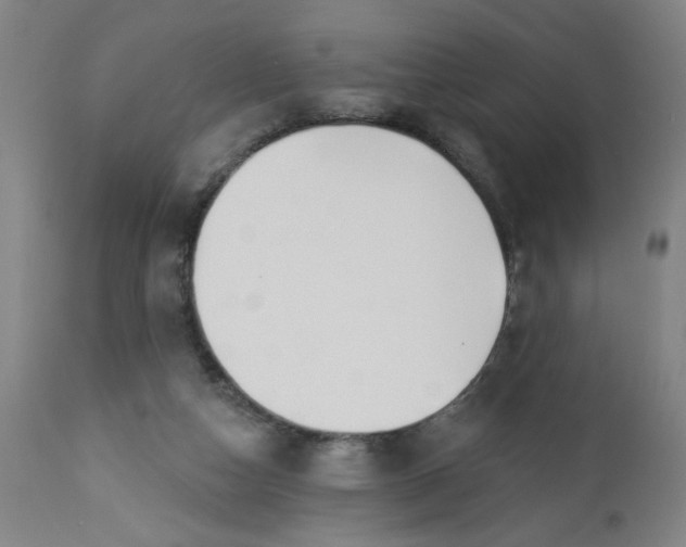 X0000112460162200909071118
