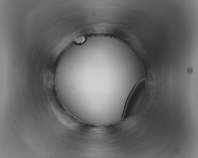 X0000112460164200909071118