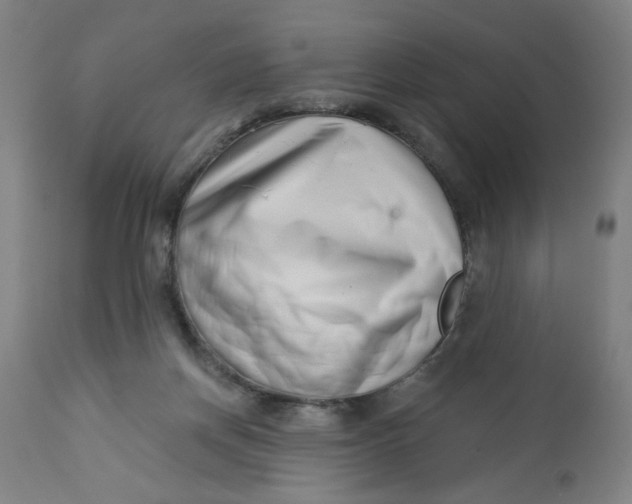 X0000112460166200909071118