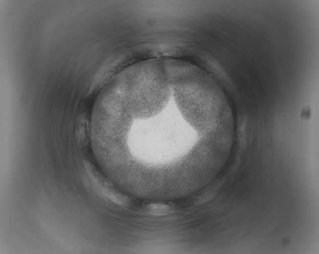 X0000112460169200909071118