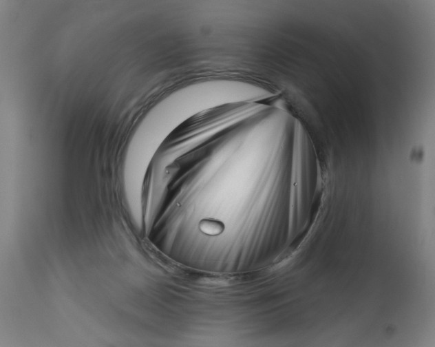 X0000112460170200909071118