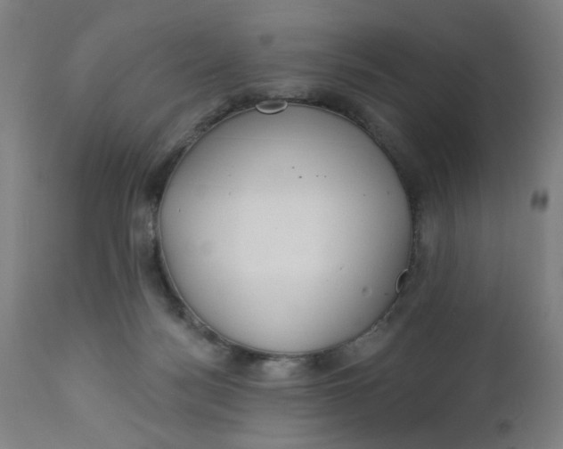 X0000112460172200909071118