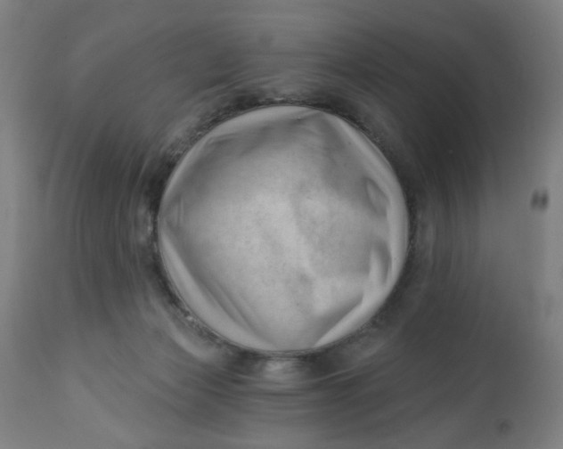 X0000112460173200909071118