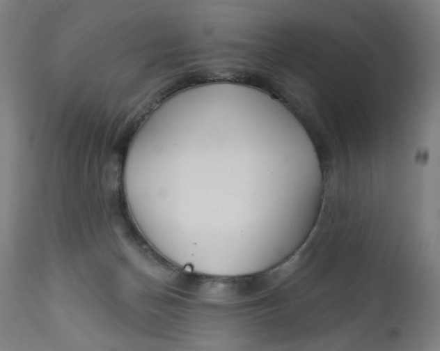 X0000112460174200909071118