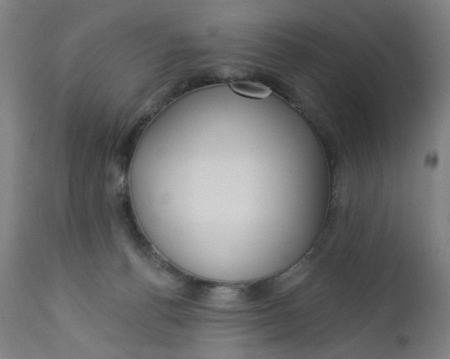 X0000112460176200909071118