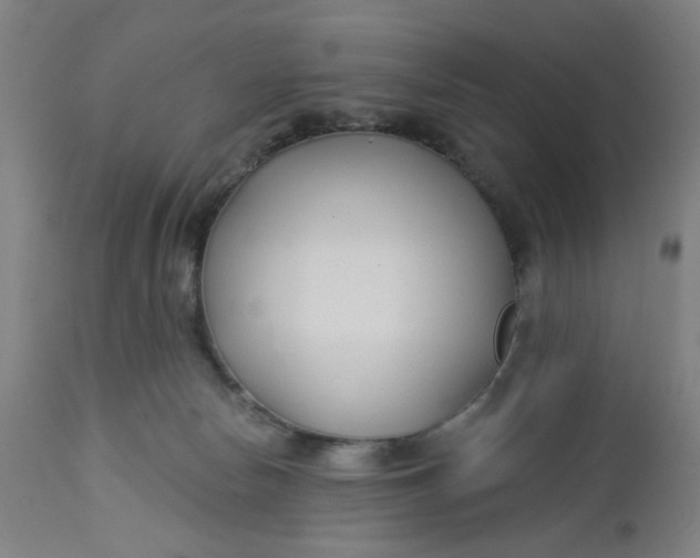 X0000112460178200909071118