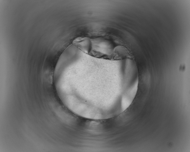 X0000112460180200909071118