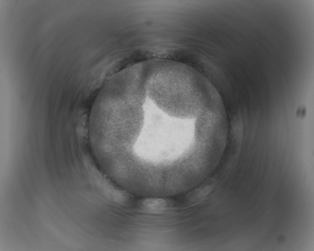 X0000112460181200909071118