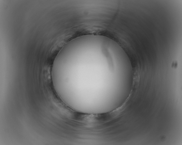 X0000112460182200909071118