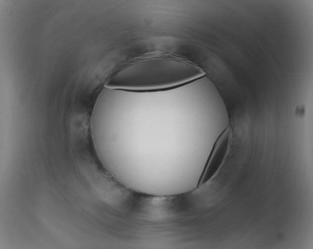 X0000112460184200909071118