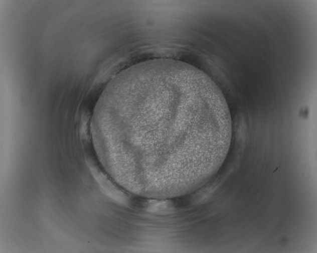 X0000112460185200909071118