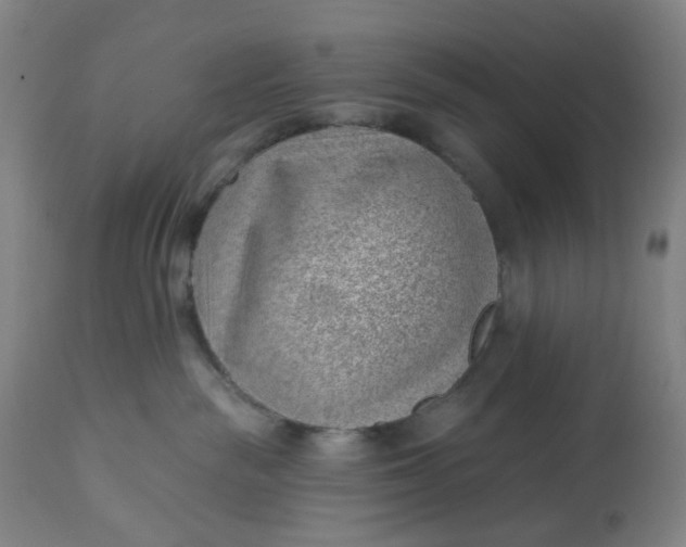 X0000112460189200909071118