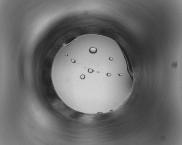 X0000112460190200909071118