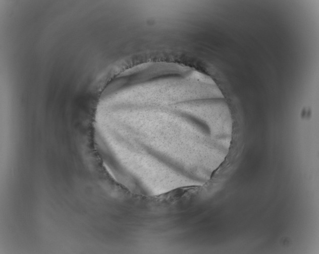 X0000112460192200909071118