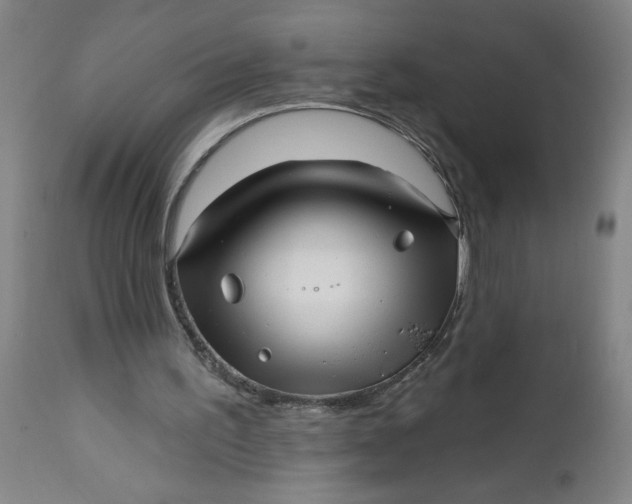 X0000112460195200909071118