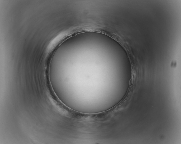 X0000112460197200909071118