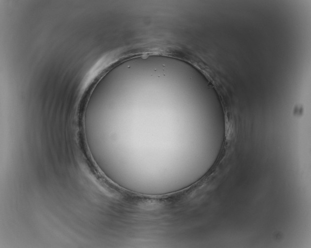 X0000112460198200909071118