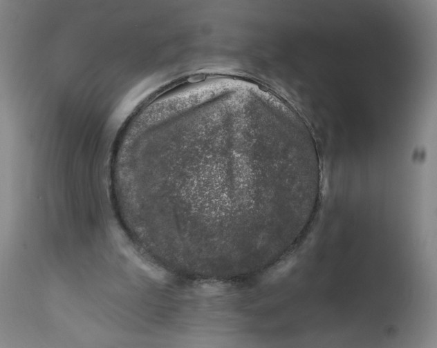 X0000112460199200909071118