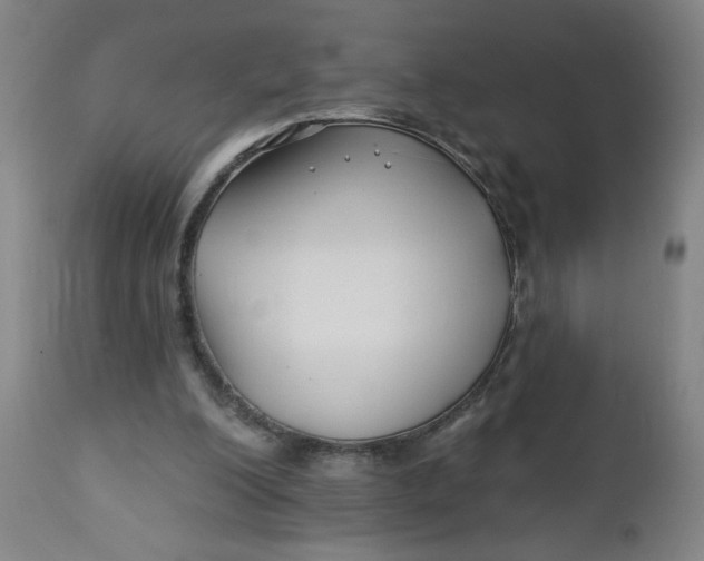 X0000112460200200909071118